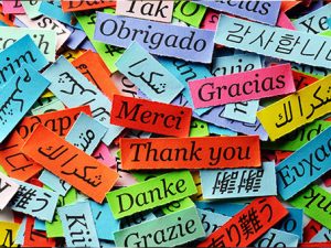 Language classes at Sutton College
