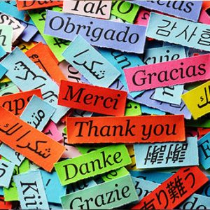 Language classes at Sutton College